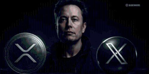 关于 XRP、埃隆·马斯克与 X Payments 的传闻解析：真相何在？