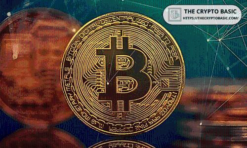 Paradex因技术故障短暂显示比特币价格为零，引发市场震荡与用户质疑