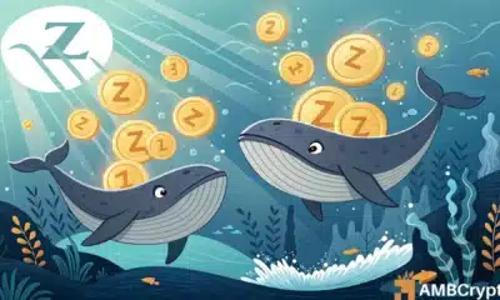 Zcash分析：ZEC价格为何仍有跌至301美元的风险
