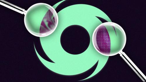 索拉纳政策研究所呼吁加强对软件开发者的法律保护，称罗曼·斯托姆案“并非孤立事件”