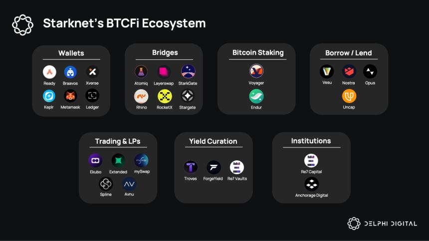 Starknet BTCFi生态版图