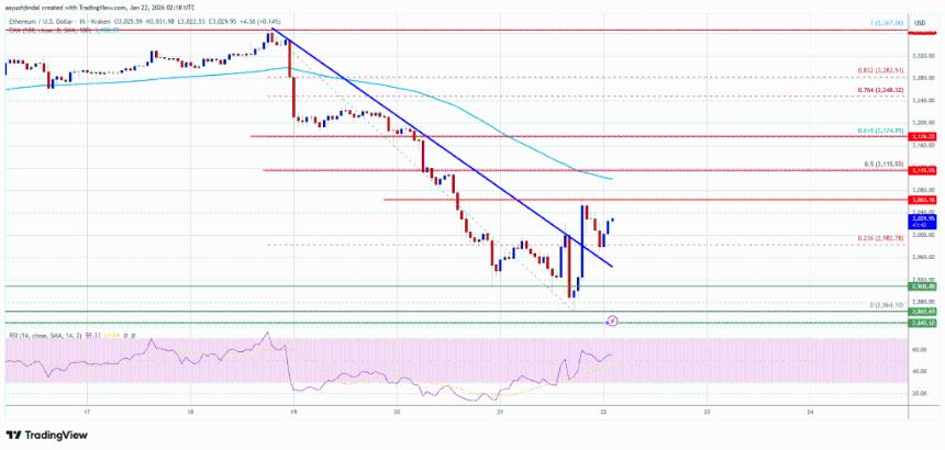 以太坊价格试图反弹，3000美元关口将多空双方拉开差距。