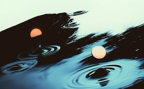 预测市场：真相与投资的博弈笔记