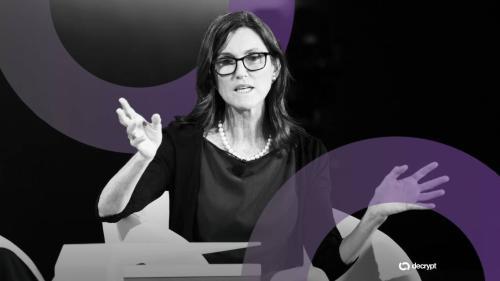 ARK预测：比特币、DeFi和代币化资产将在2026年引领加密货币市场