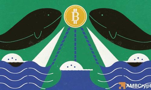 为何当前仍不应排除比特币牛市前景的可能性？