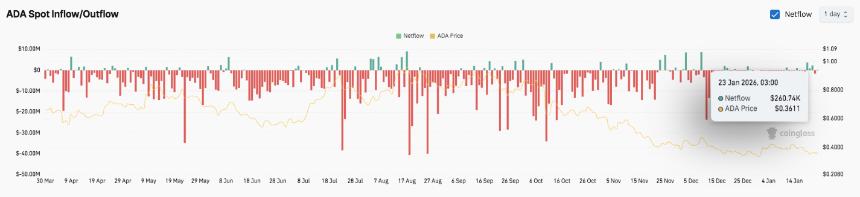 卡尔达诺价格预测：Hoskinson暗示午夜将推出增长计划，ADA正努力应对短期抛售