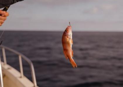 韩国检方调查：价值4800万美元比特币因网络钓鱼攻击被盗