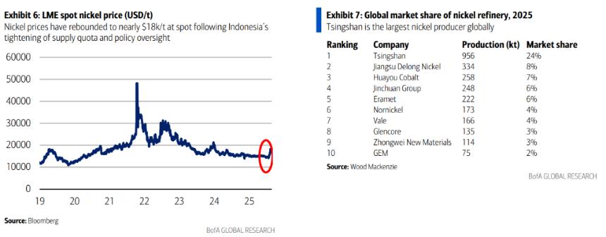 青山集团：从镍矿与不锈钢巨头迈向铝业及新能源电池领域
