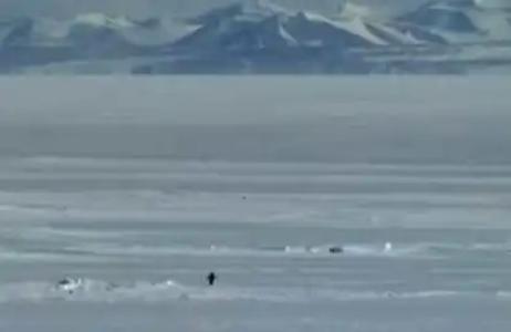 情绪meme+特朗普加持，尼采企鹅币一周暴涨6000倍