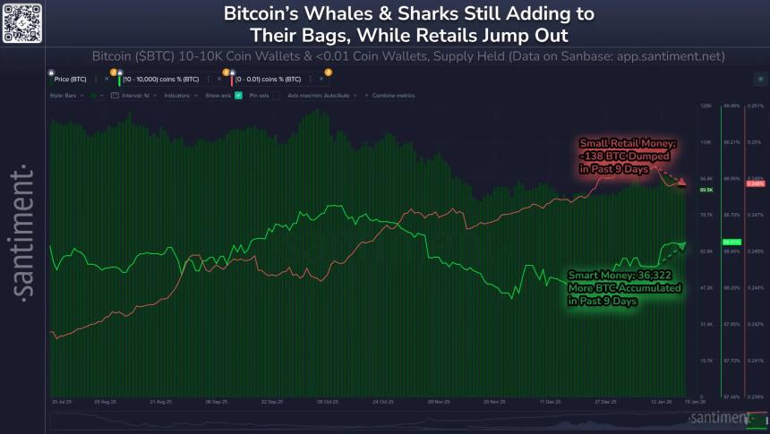 中东局势紧张推高贵金属价格，比特币跌破8.6万美元或成投资良机