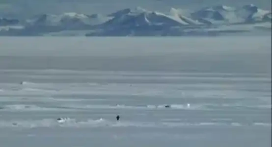 尼采企鹅一周6000倍，Solana meme币重铸荣光？