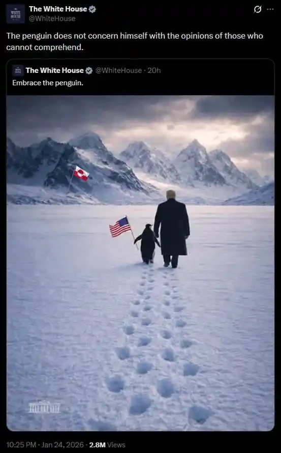 尼采企鹅一周6000倍，Solana meme币重铸荣光？