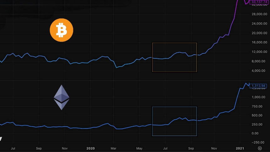无惧牛熊：加密生存法则