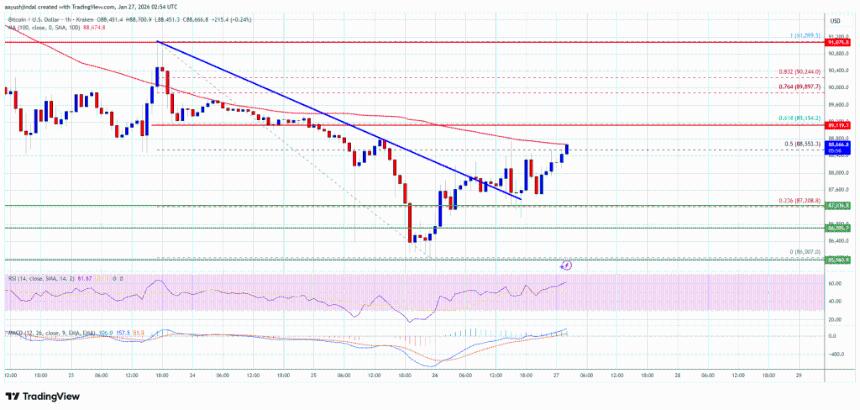  比特币价格反弹尝试增多，但上涨空间依然面临挑战 