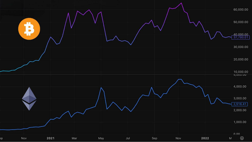 无惧牛熊：加密生存法则