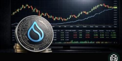加密货币金库正成为活跃协议参与者：Sui 的转型为何意义重大