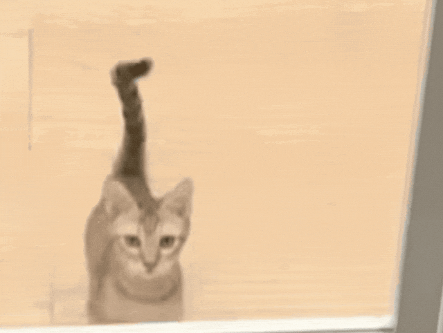 机器人看不清，蚂蚁给治好了