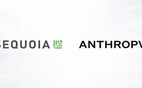 红杉资本的AI新局：从忠诚到多边下注的范式革命