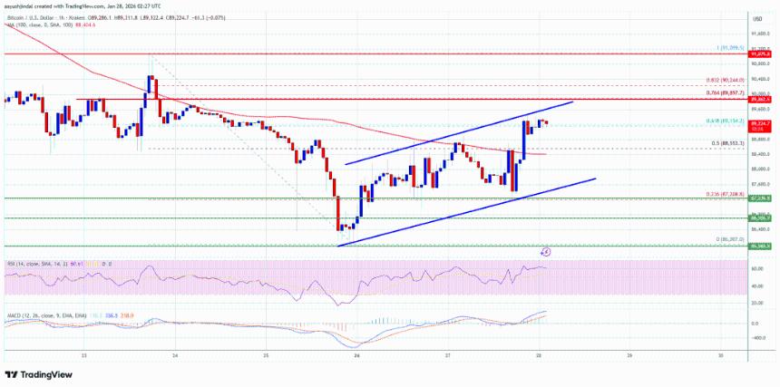 比特币价格持续上涨，但9万美元或将决定其下一步走势