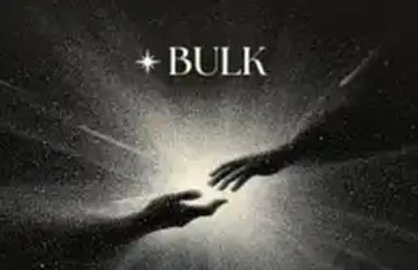 Bulk Trade完成800万美元种子轮融资，如何在Perp DEX红海中突围？