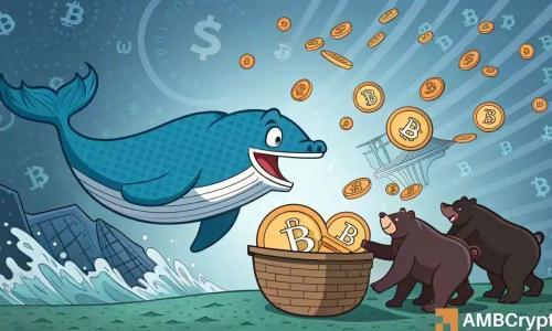 比特币巨鲸豪掷8900万美元增持，能否逆转近期跌势？
