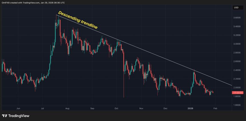 持有百万XRP的钱包数量回升，市场或迎长期积累阶段