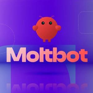 Clawdbot 事件：商标纠纷引发更名风波与加密货币骗局