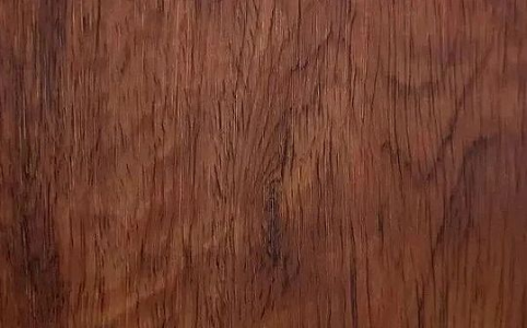 2026年全球金融市场展望：结构性变化与潜在波动的深度解析