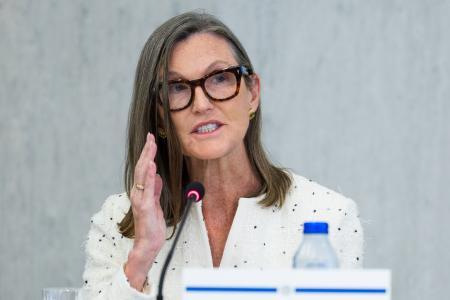 如何在公司上市前进行私募投资：ARK风险投资基金的策略解析