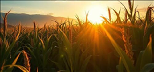 美国农业部启动外国对美国农田所有权追踪系统