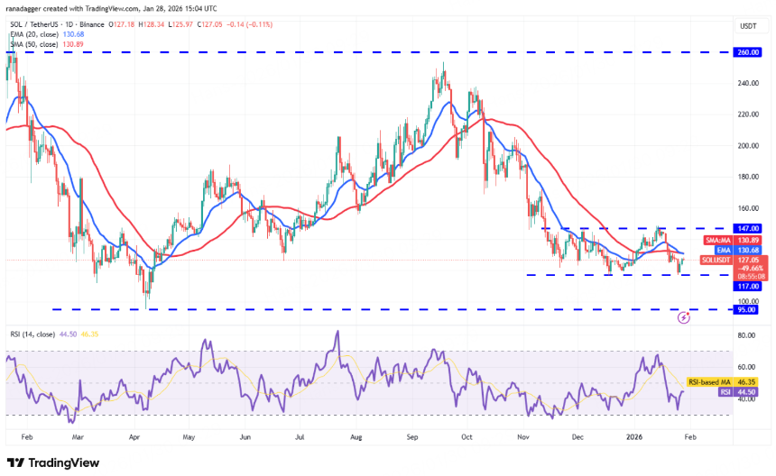 BitMart Insights：1月加密市场回顾与热点剖析