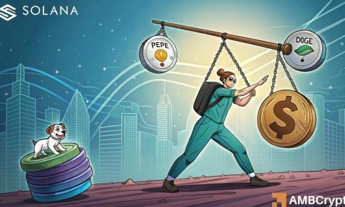 Solana在模因币热潮中处理40%的L1吞吐量：网络性能与经济价值的双赢