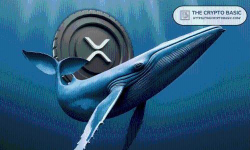 新XRP巨鲸一小时内豪掷2.06亿美元购入1.2亿枚XRP