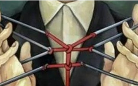 散户：市场情绪的主导者与价格波动的核心力量