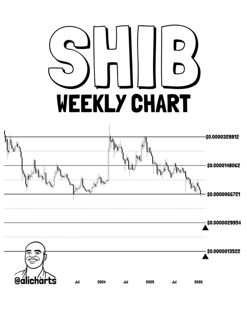 Shiba Inu Weekly Chart