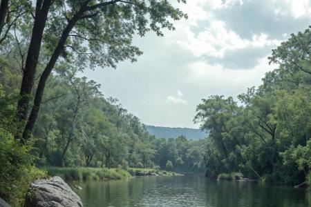 市场深度调整：牛市未改，A<span class='keyword'>gent</span>技术浪潮引领新机遇