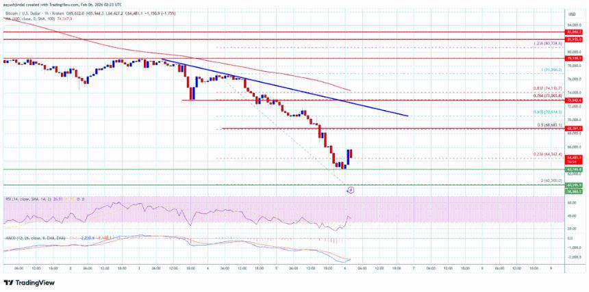 比特币价格暴跌至6万美元，引发市场震荡