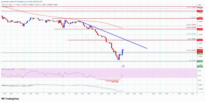 XRP价格从1.15美元暴跌后反弹，多头试探市场反应