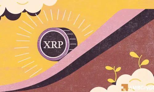XRP价格暴跌61%，资本外流与链上指标揭示潜在危机