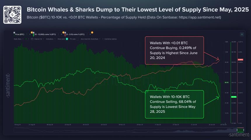 比特币巨鲸持仓占比降至9个月低点