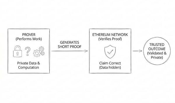 ZK 证明：隐私是否已经足够廉价到可以主流化？