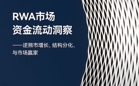RWA市场洞察：逆市增长、结构分化与未来赢家