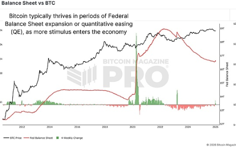 比特币价格波动的外部驱动因素分析