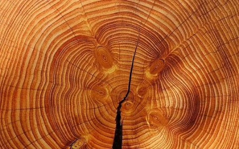 美国经济放缓是否会演变为衰退？