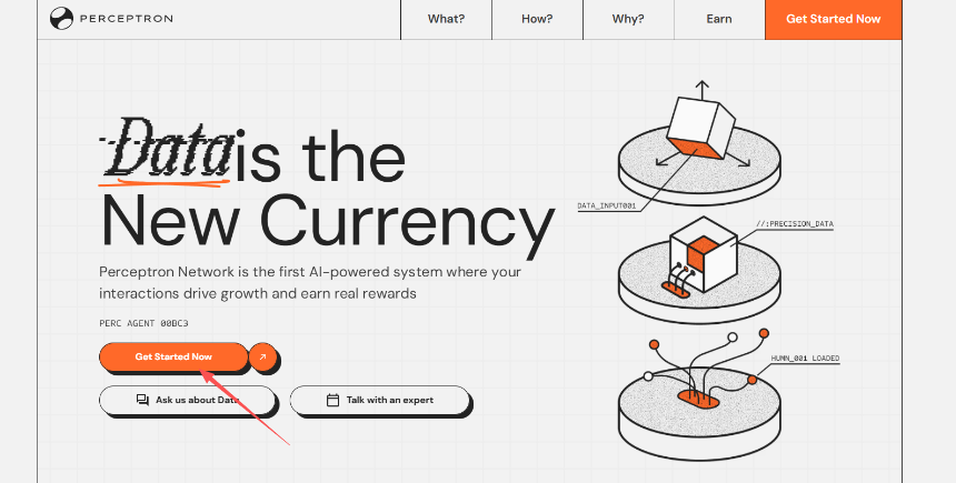 热门交互合集 | Perle Labs新答题任务；Perceptron Network挂机赚积分（3月4日）