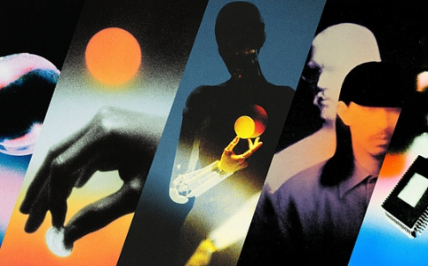 加密 VC 的新生态：分化与进化