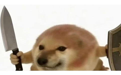 3月最火meme币：“我的刀盾”席卷链上世界