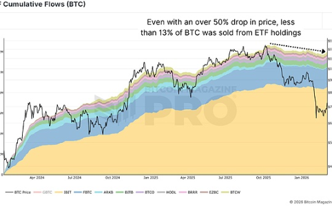 比特币市场关键参与者未现“投降”迹象 持续加仓展现信心