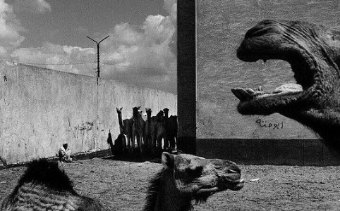 中东加密往事：一场技术与权力的博弈