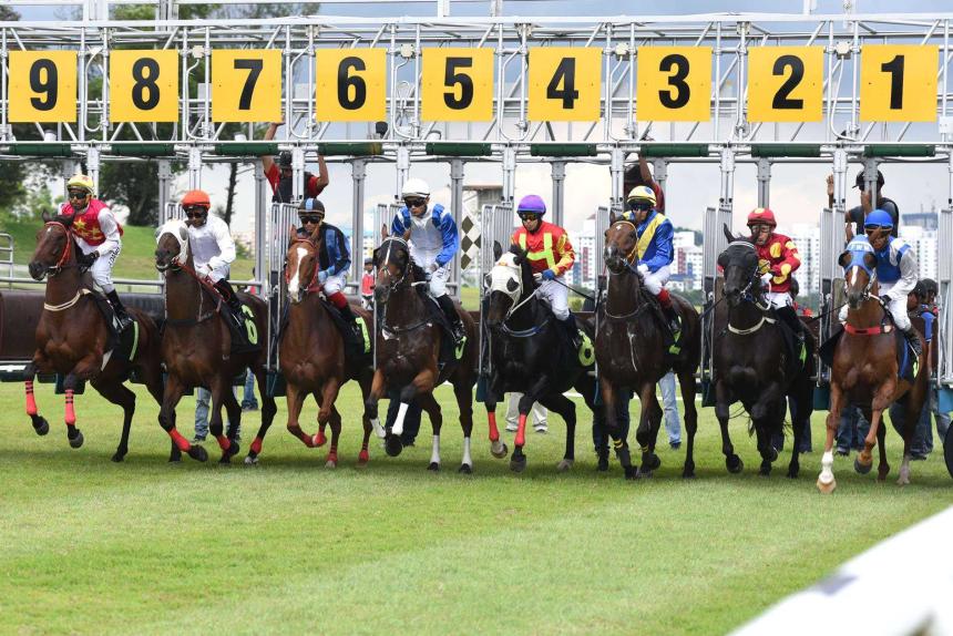 部署22个AI交易Agent，我在Hyperliquid上的实验与发现（附完整策略代码）